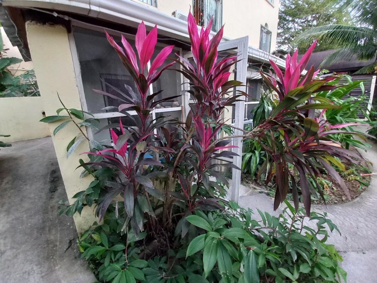 Roatan Backpackers' Hostel Sandy Bay Exteriér fotografie