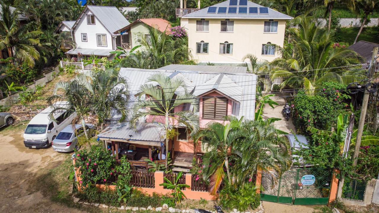 Roatan Backpackers' Hostel Sandy Bay Exteriér fotografie